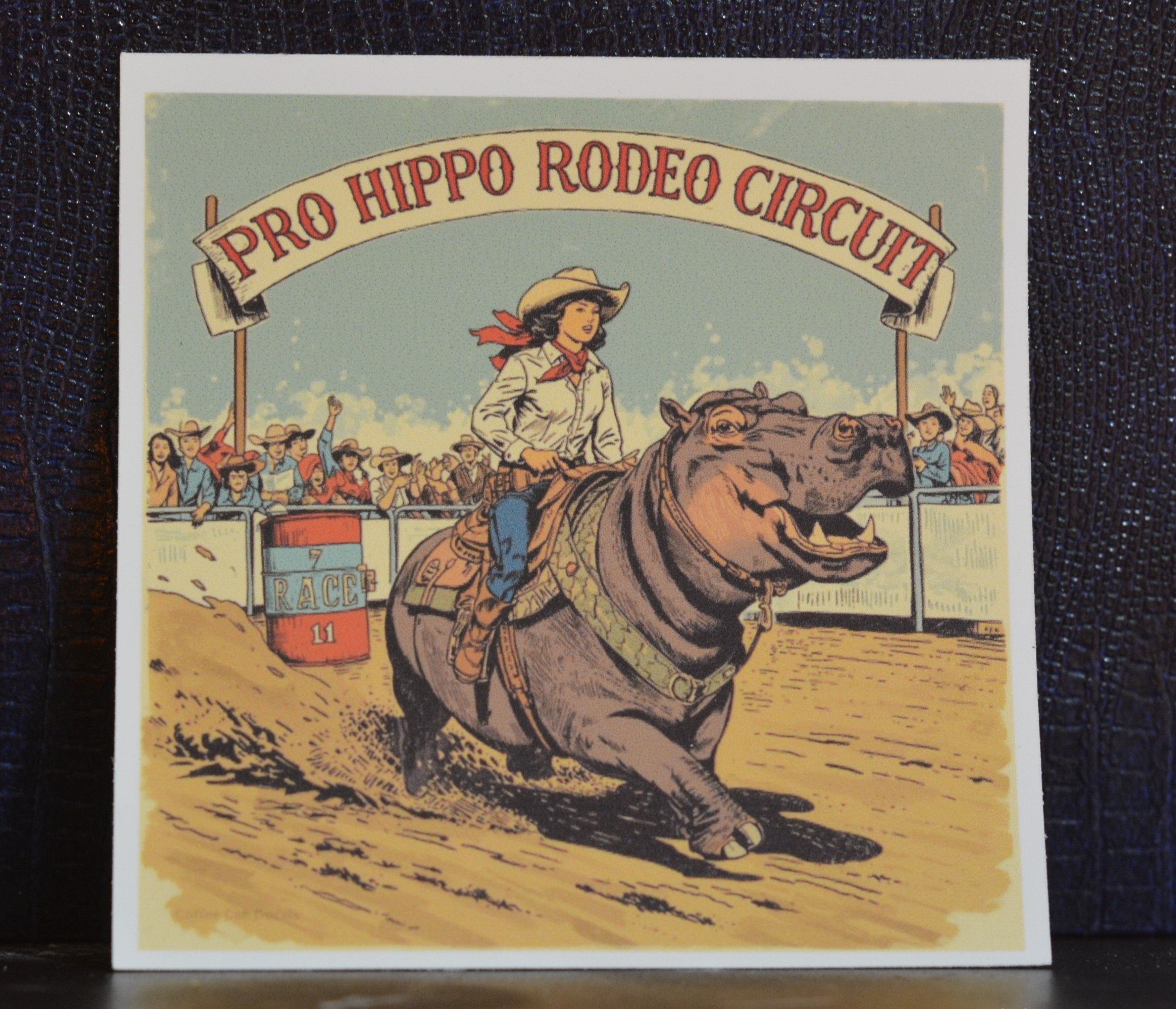 Pro Hippo Rodeo Circuit