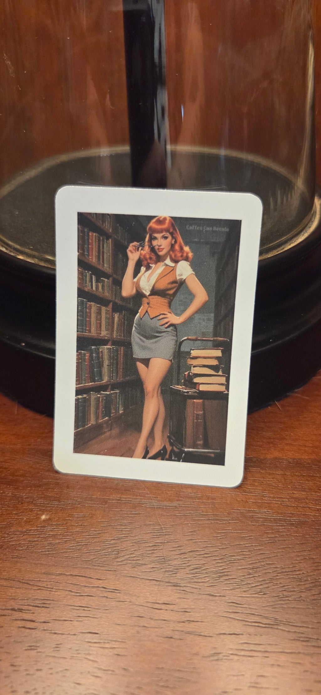 Librarian Pin Up