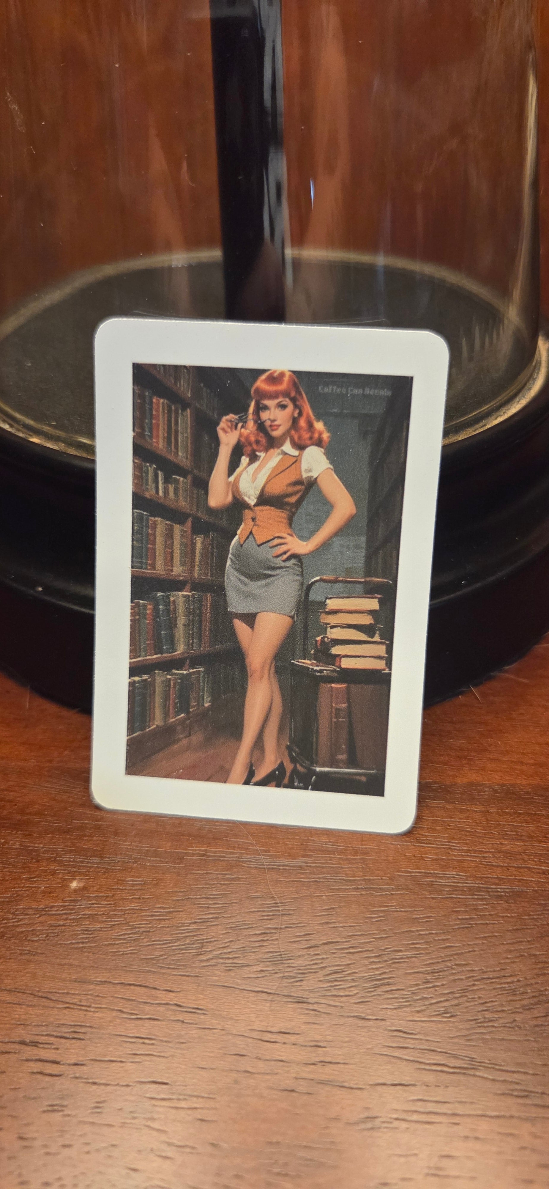 Librarian Pin Up