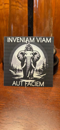 INVENIAM VIAM