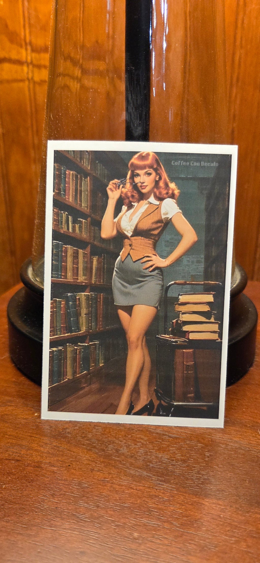 Librarian Pin Up