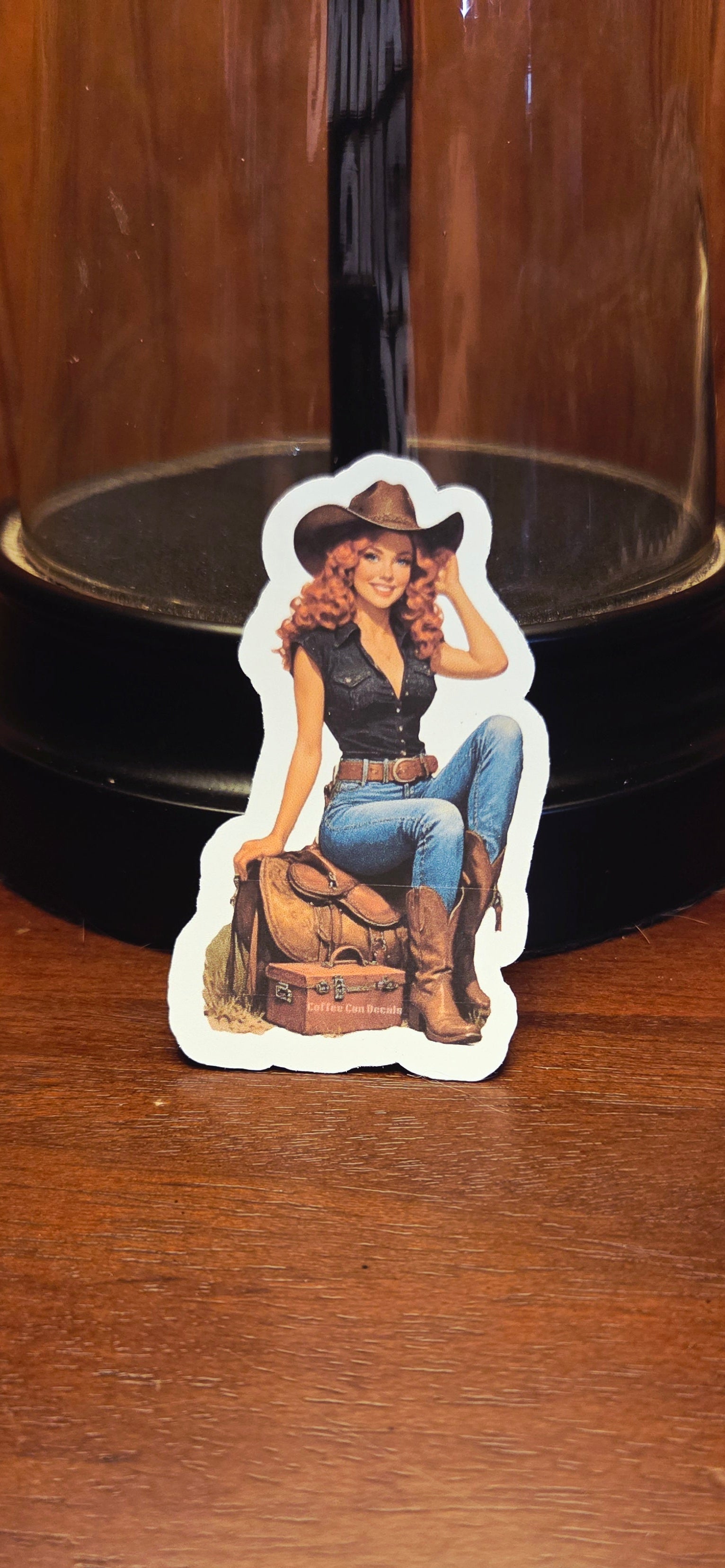 Ranch / Cowgirl Pin Up