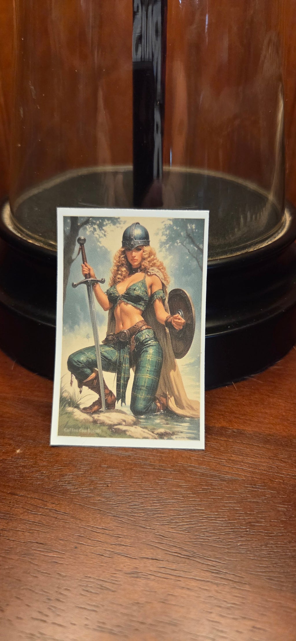 Gallic / Celtic Warrior Pin Up
