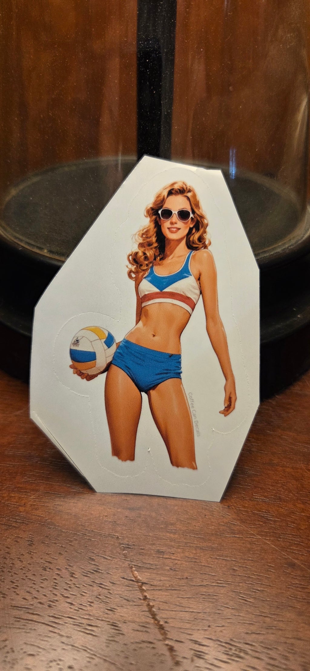 France Volleyball Player Pin Up