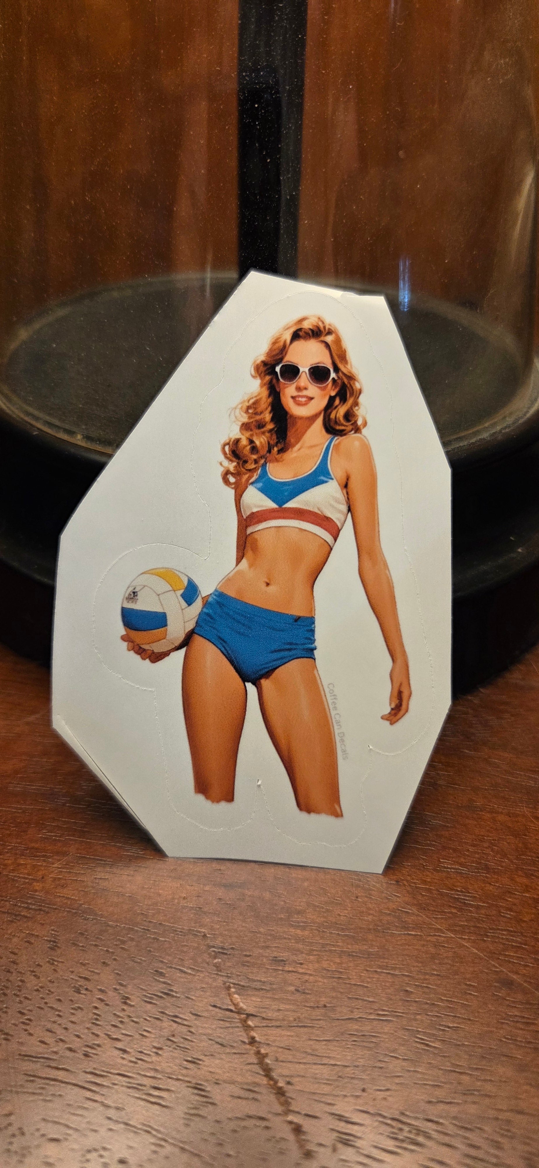 France Volleyball Player Pin Up