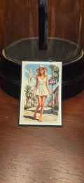 Florida Sundress Pin Up