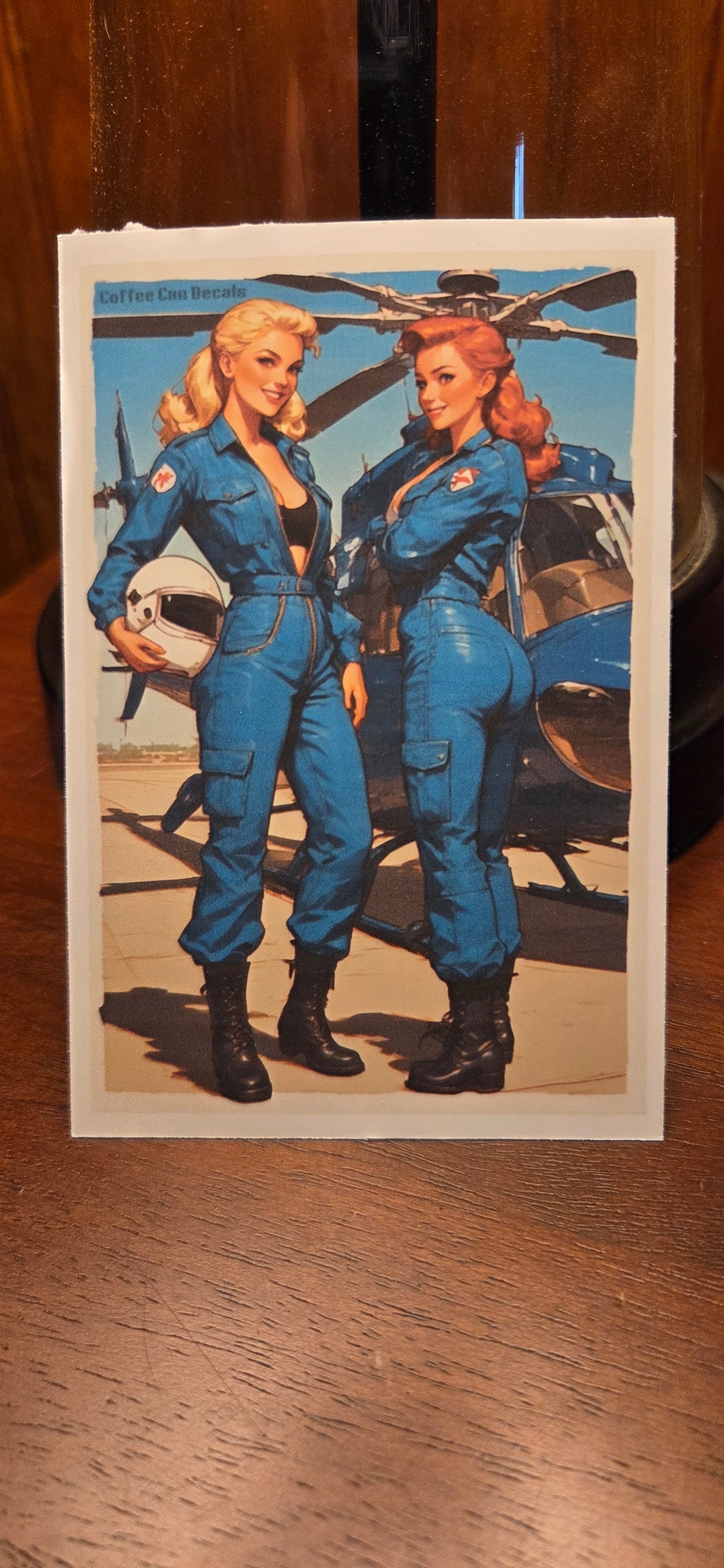 Flight Crew Pin Ups