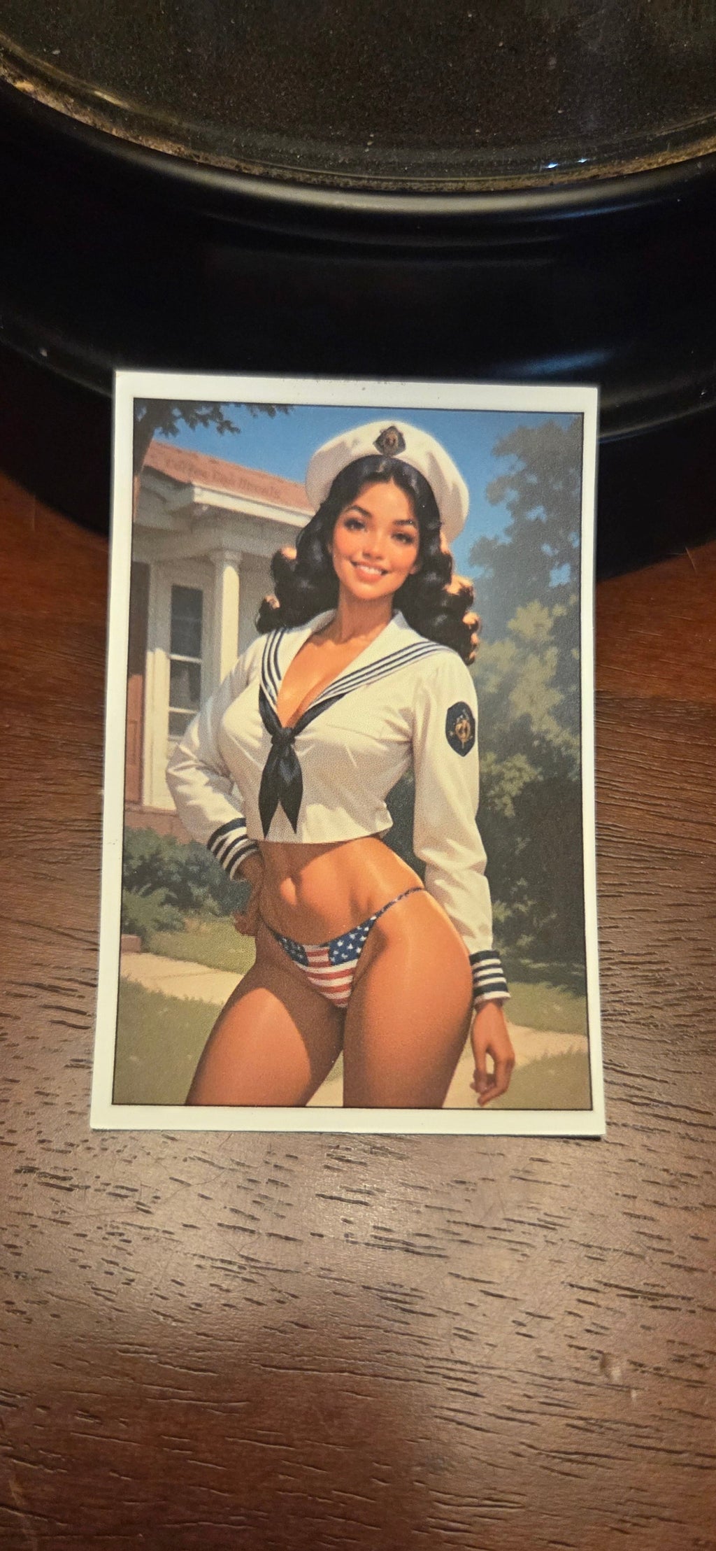 US Navy Pin Up
