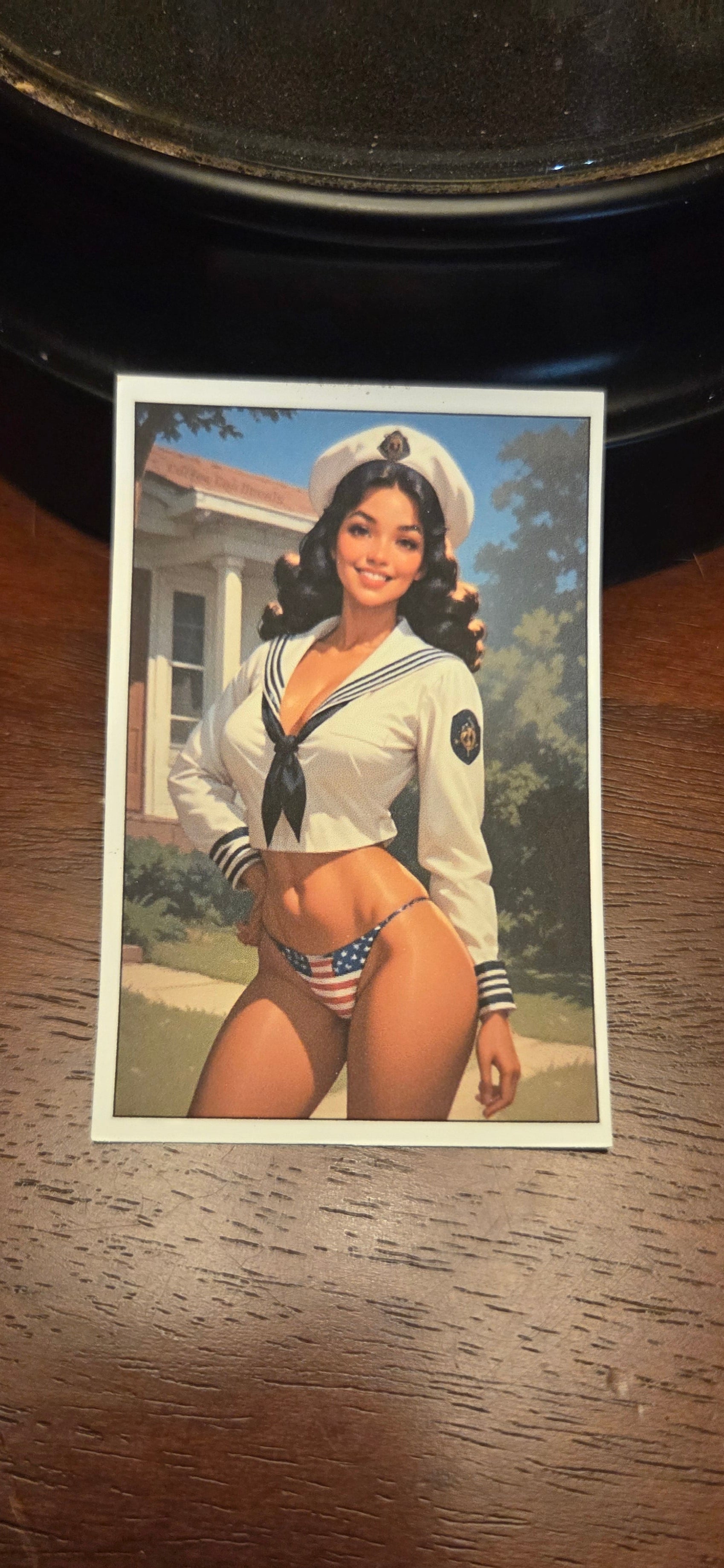 US Navy Pin Up