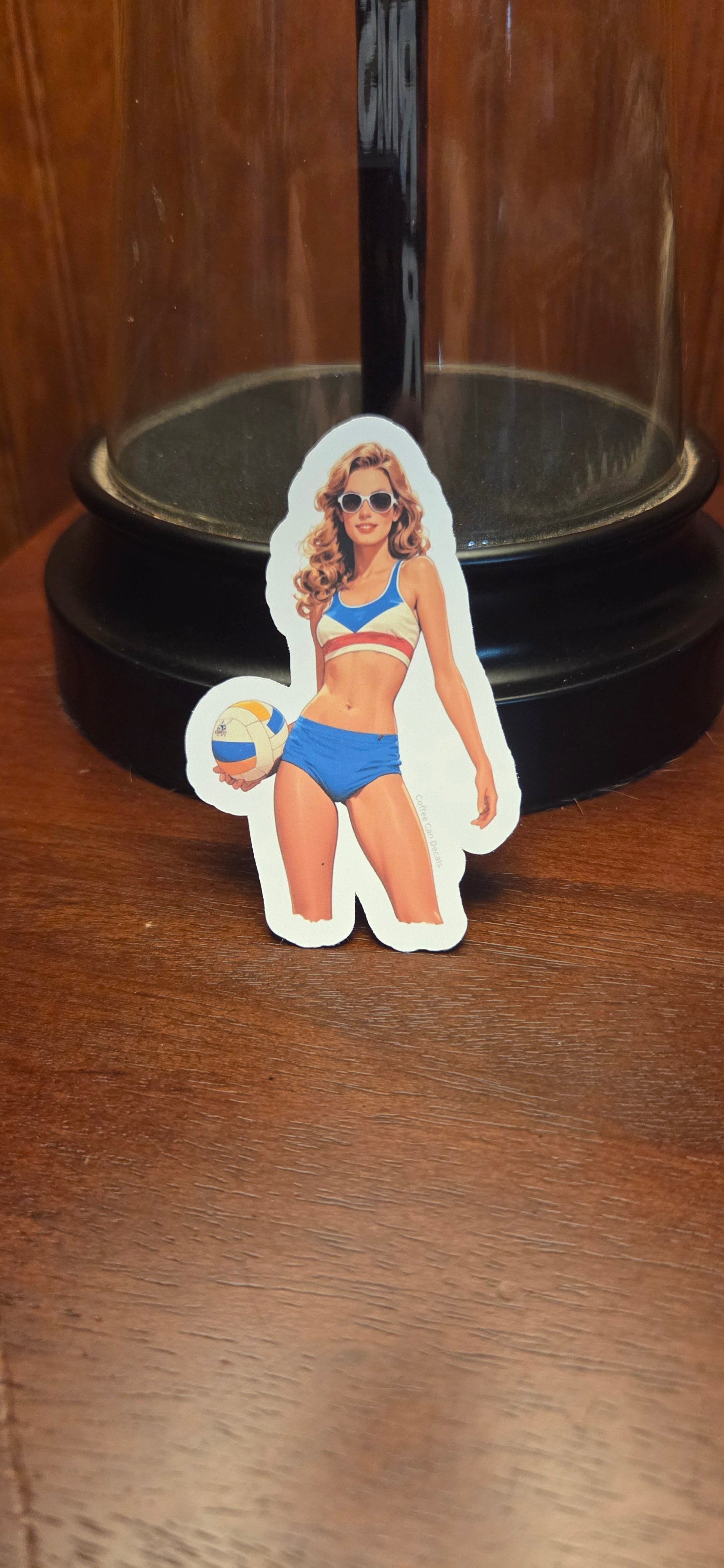 France Volleyball Player Pin Up