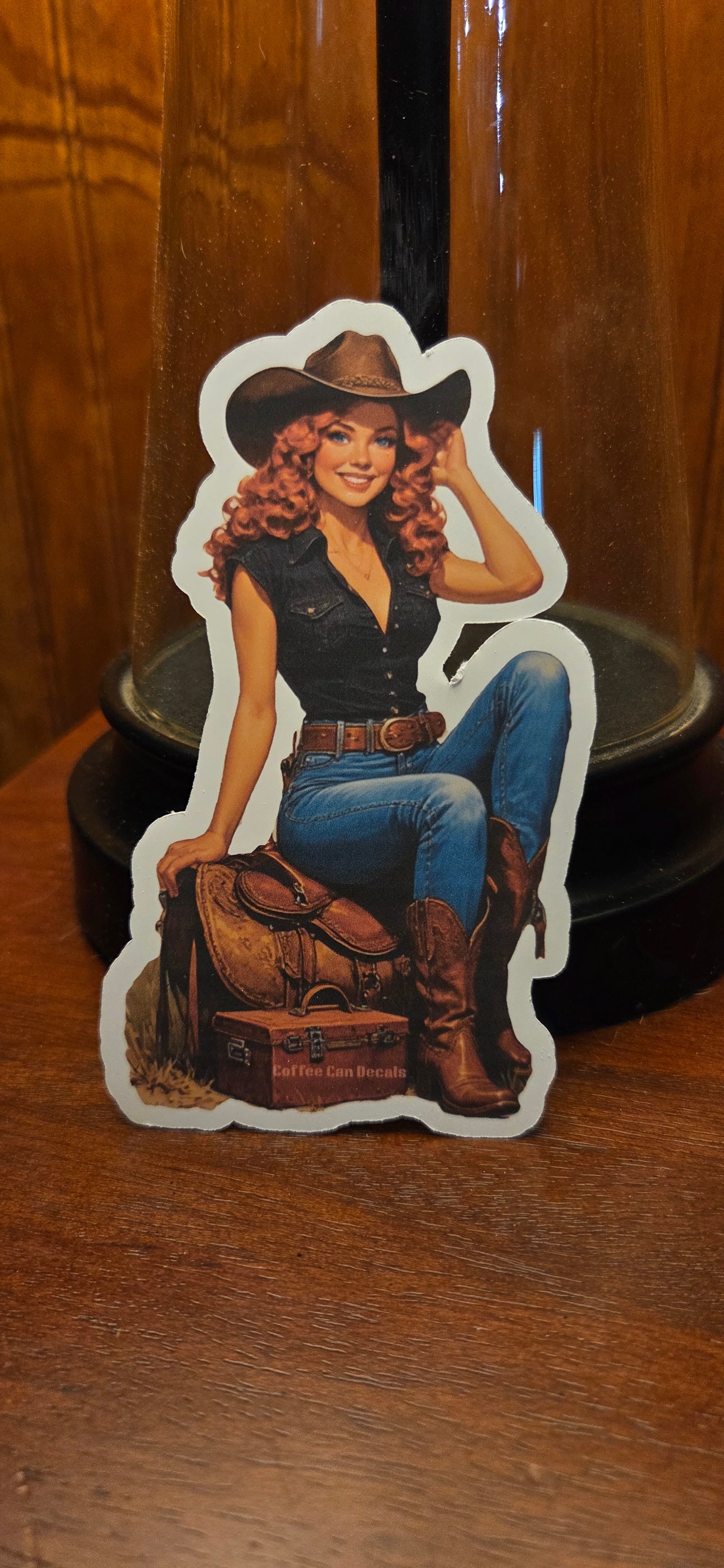 Ranch / Cowgirl Pin Up