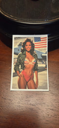 US Air Force Pin Up