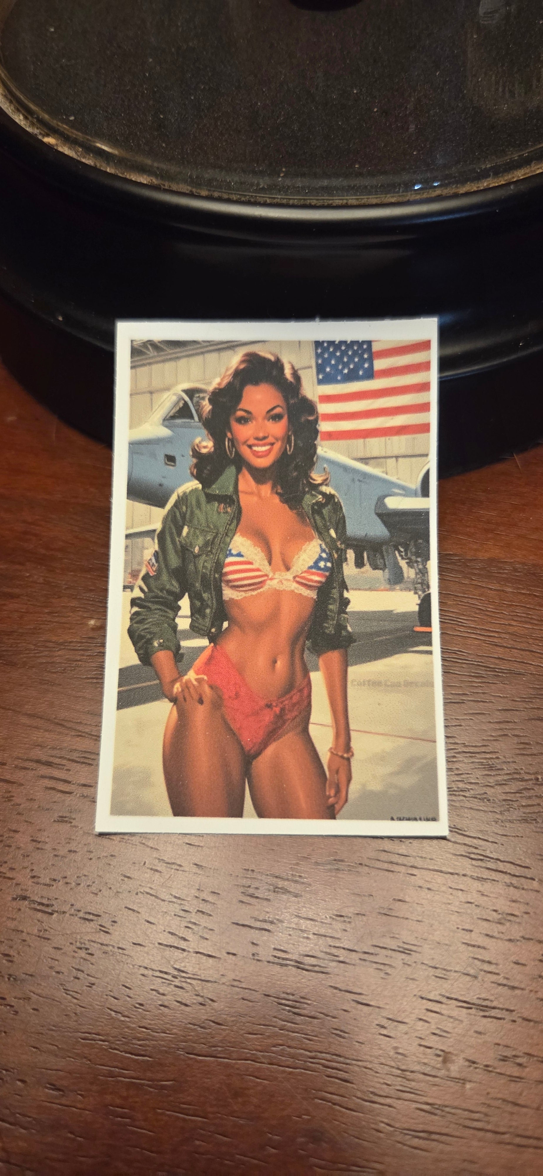 US Air Force Pin Up